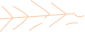 plume Icon